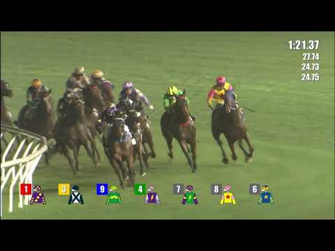 11/5/2022 (655) Kyrus Unicorn - B Shinn