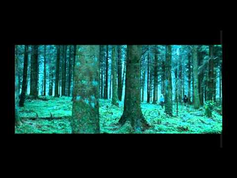 Shrooms - Trip senza ritorno — Trailer (Italiano)
