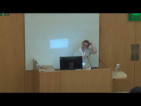 Gender Stereotyping in Machine Learning: A Technical Necessity or a Human Rights Violation?