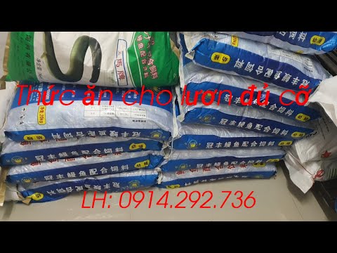 Tổng hợp các loại thức ăn cho lươn bột 0914292736