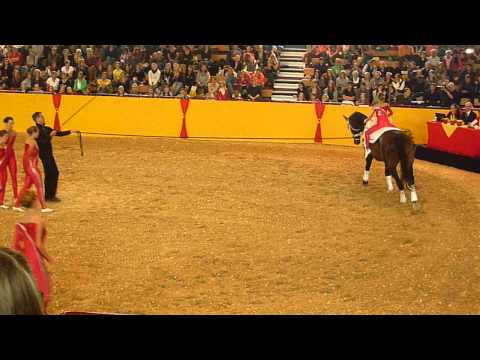 DVM 2012 Ingelsberg 1 Pflicht