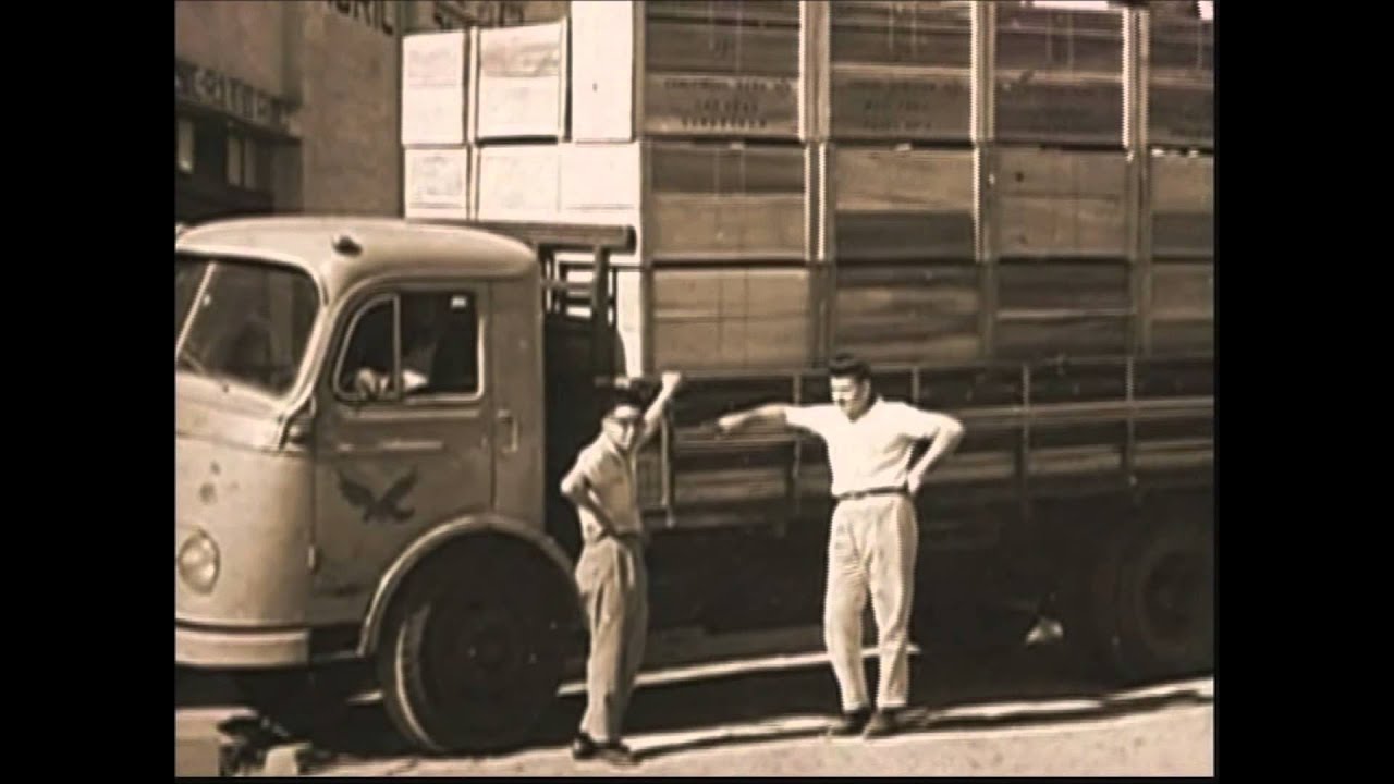 Shunji Nishimura  - A Jornada pessoal de um vencedor - Português
