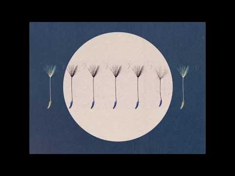 Jon Boden & The Remnant Kings - Seven Bonnie Gypsies