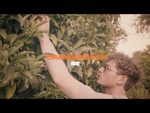 STEASY - ORANGENBAUM (prod. by 2Seven)
