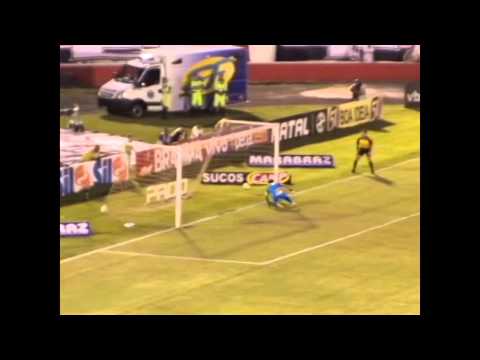 Melhores Momentos - Botafogo 3 X 1 Palmeiras - Campeonato Paulista 2014
