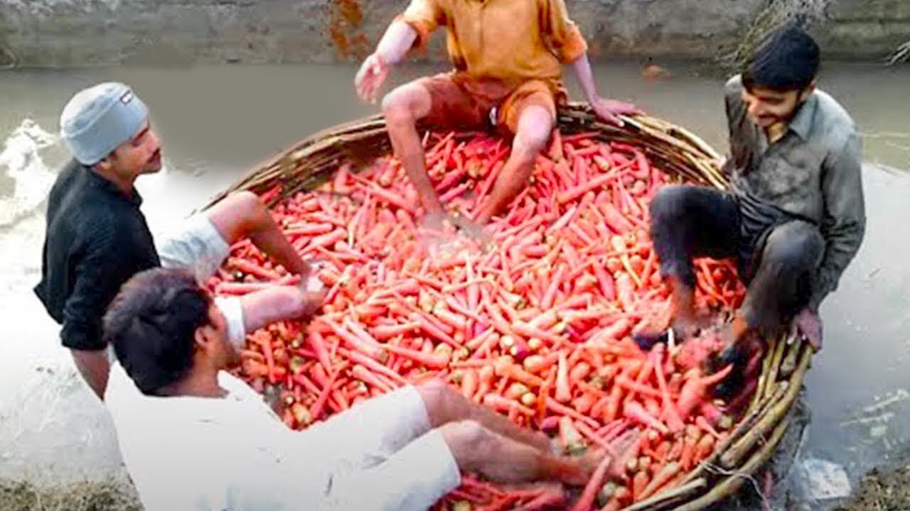 Você nunca mais comprará isso sabendo como é feito