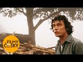 Divoké Včely Film O Filmu
