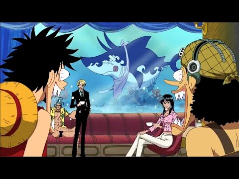 Put shark in the Fish tank 🤣 | One piece funny video english dub