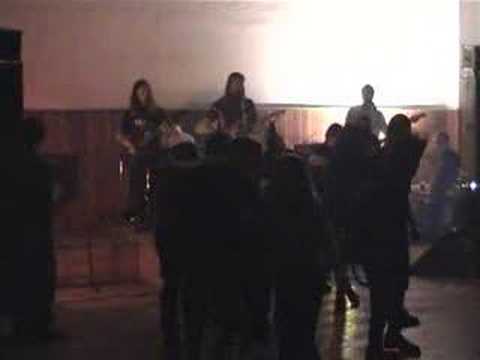 My JeBáČi - My JeBáČi - Krokodýl (live)