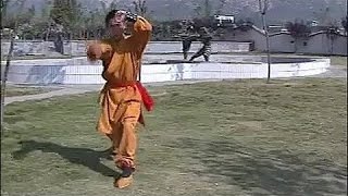 Shaolin small power kung fu (pao quan)