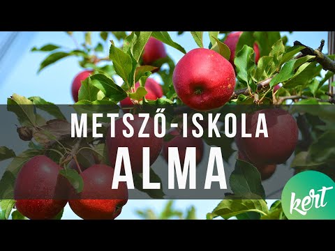 , title : 'Az alma metszése - Fiskars metsző-iskola/ KertTV'