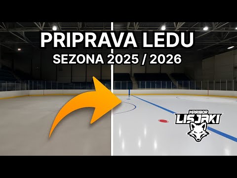 HDK Maribor Lisjaki - Barvanje in priprava ledu za sezono 2025 / 2026