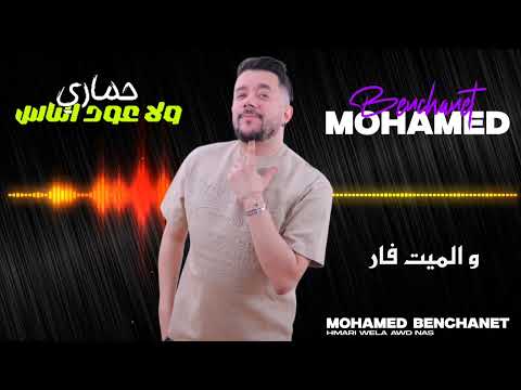 Mohamed benchenet حماري ولى عود الناس-(music video  2025 ) راك توحم عليا نتا واقيلى