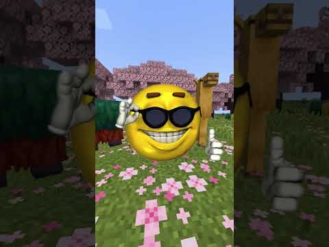mey  - The Minecraft Cherry Blossom biome NEEDS this