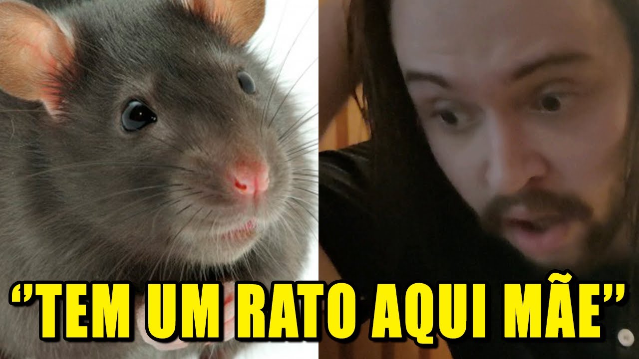 a saga DO RATO que INVADIU A CASA DO CARTEIRO CÓSMICO