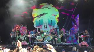 The Shins: Australia (LIVE 2017)