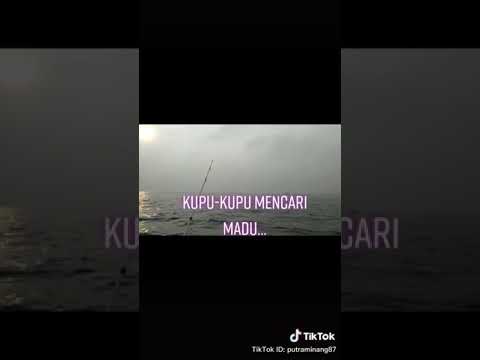 Lagu rasa sayange dijadikan pantun wkwkwkwk