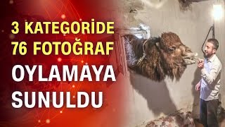 Anadolu Ajansı'nın 'Yılın Fotoğrafı' yarışması başladı