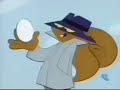 Spy Type Guy Secret Squirrel