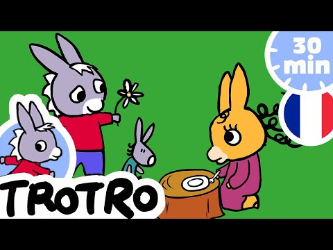 Trotro aime jouer avec Nana - Dessin Animé pour Bébé