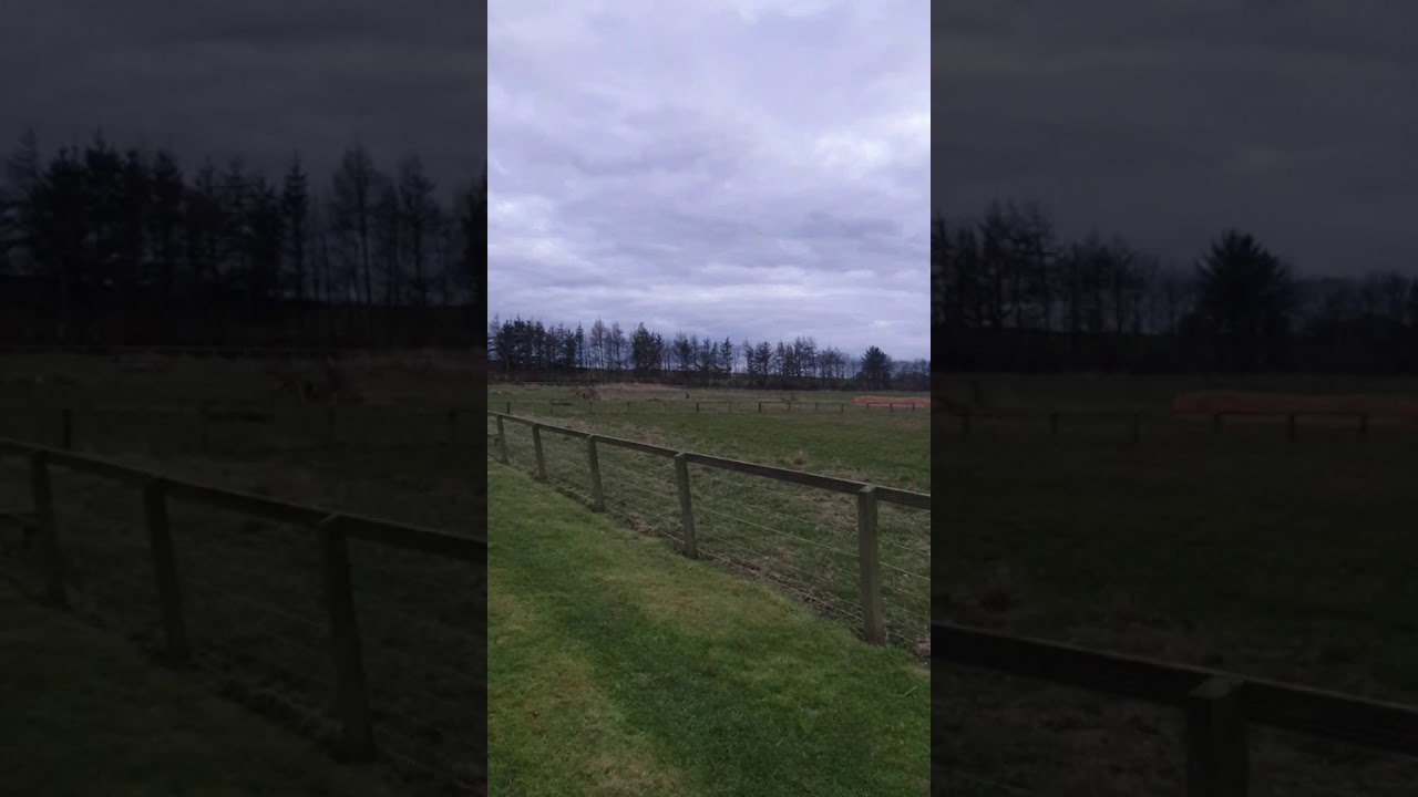 Dummy launcher diversion & memory