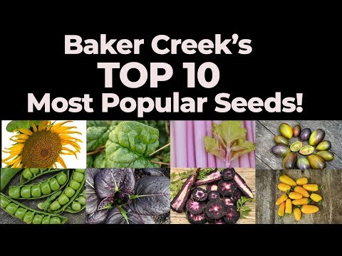 Baker Creek's Top 10 Best-Selling Varieties