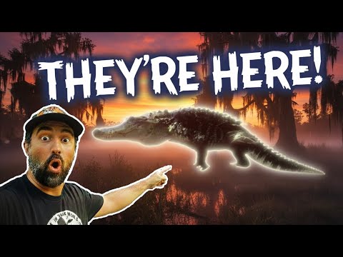 Is This Florida’s Jurassic Park?! | Circle B Bar Reserve