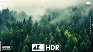 Journey Through Stunning Destinations - 4K 60FPS HDR Dolby Vision