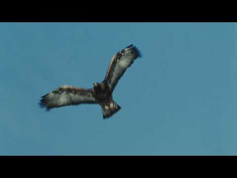 Winter- und Skispaß bei den OBERSTDORF · KLEINWALSERTAL BERGBAHNEN - Mach's zu deinem Revier!