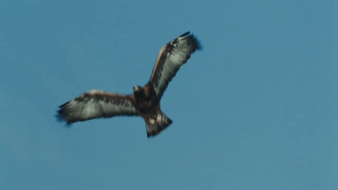 Video: OK Bergbahnen
