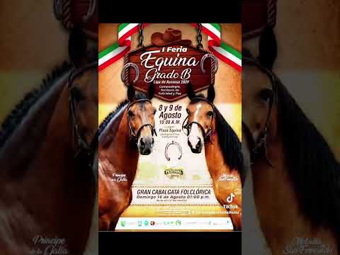1️⃣ FERIA EQUINA GRADO B Campoalegre - Huila🐴🇨🇴🤠 #horse #cavalos #equine #caballos #cheval
