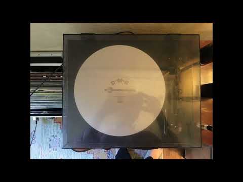 Bankston, L.P. (2011). Victory Lap [Missing Monuments]. Painted White [LP]. DMR045.