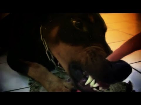 "Doberman" - Doberman feat. Original P.P. (Street Video) Prod. DNA