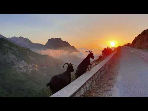 Bert Dockx - Home (audio)