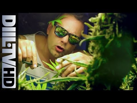 Hemp Gru - Mary Mary feat. Żary, Ras Luta, Siostra Mariola (Official Video) [DIIL.TV]