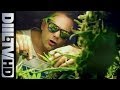Hemp Gru Mary Mary Feat Żary Ras Luta Siostra Mariola Official Video DIIL TV