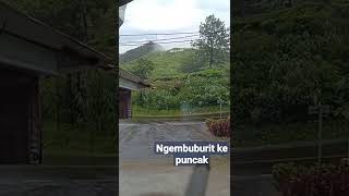 Download lagu puncak #story #gunung #puncak #storywa mp3 Download lagu puncak #story #gunung #puncak #storywa mp3