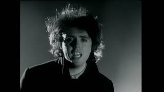 The Icicle Works - Evangeline