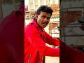Mithun Da Dialogue Jeete Hain Shaan Se Movie Youtubeshorts Shortvideo