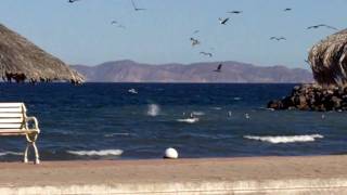 preview picture of video 'Sandy Beach Islands near Loreto,, BCS'