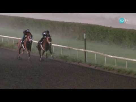 Keen Ice works at Palm Beach Downs 1/21/17