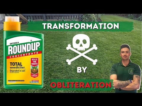 Killing off my Lawn // Part 1 Renovation //