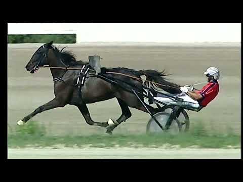 Napoli Trotto 20/09/2022 - 2ª corsa