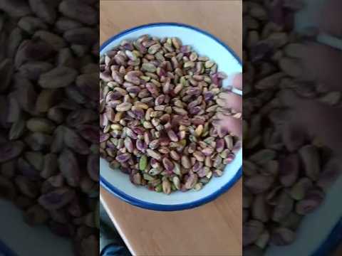 Pistachio dry fruits, packaging size: 250 gm, vacuum bag