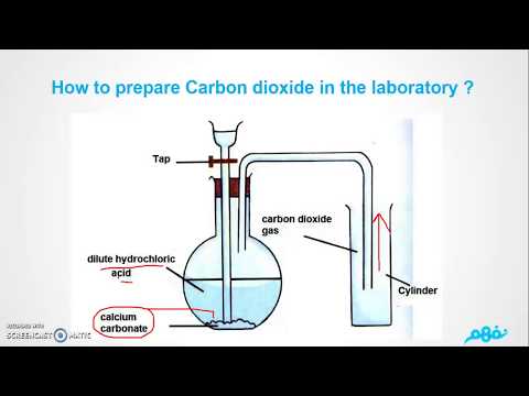 Carbon Dioxide - science- Grade 6 -Term 1 - part 2 - علوم - لغات - للصف السادس الابتدائي - نفهم
