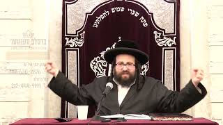 חיזוק יומי רבי יואל רוטה שליט"א  - ד' כי תבא תשפ"ג - אלול! פארלוירענע בחורים... פארלוירענע יונגעלייט