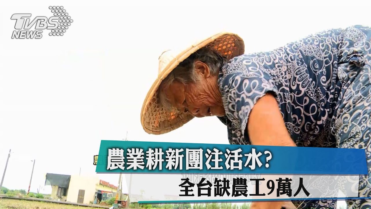 「農業耕新團」注活水? 全台缺農工9萬人