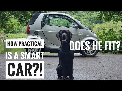 How practical is a Smart Car?