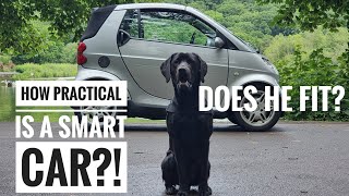 How practical is a Smart Car?