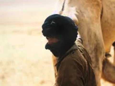 Niger Blues  - Desert Rebel